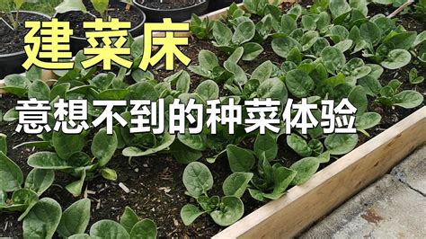 菜床板|園藝菜床的價格推薦